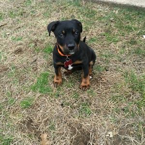 Meet your Posher, Rebecca